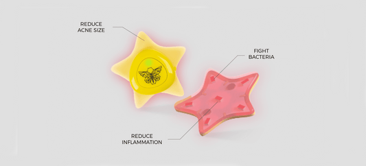 Metamorphosis Light Therapy