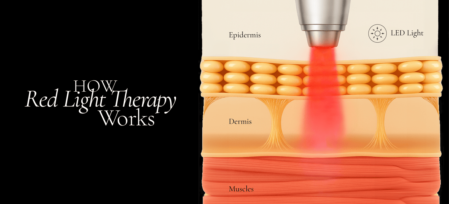 How Red Light Therapy Works