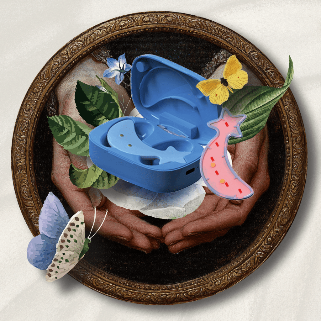Blue hearing aid case with butterflies and leaves in a decorative frame.