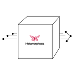 Metamorphosis Fast Shipping - pixelated box with butterfly logo