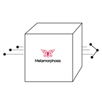 Metamorphosis Fast Shipping - pixelated box with butterfly logo
