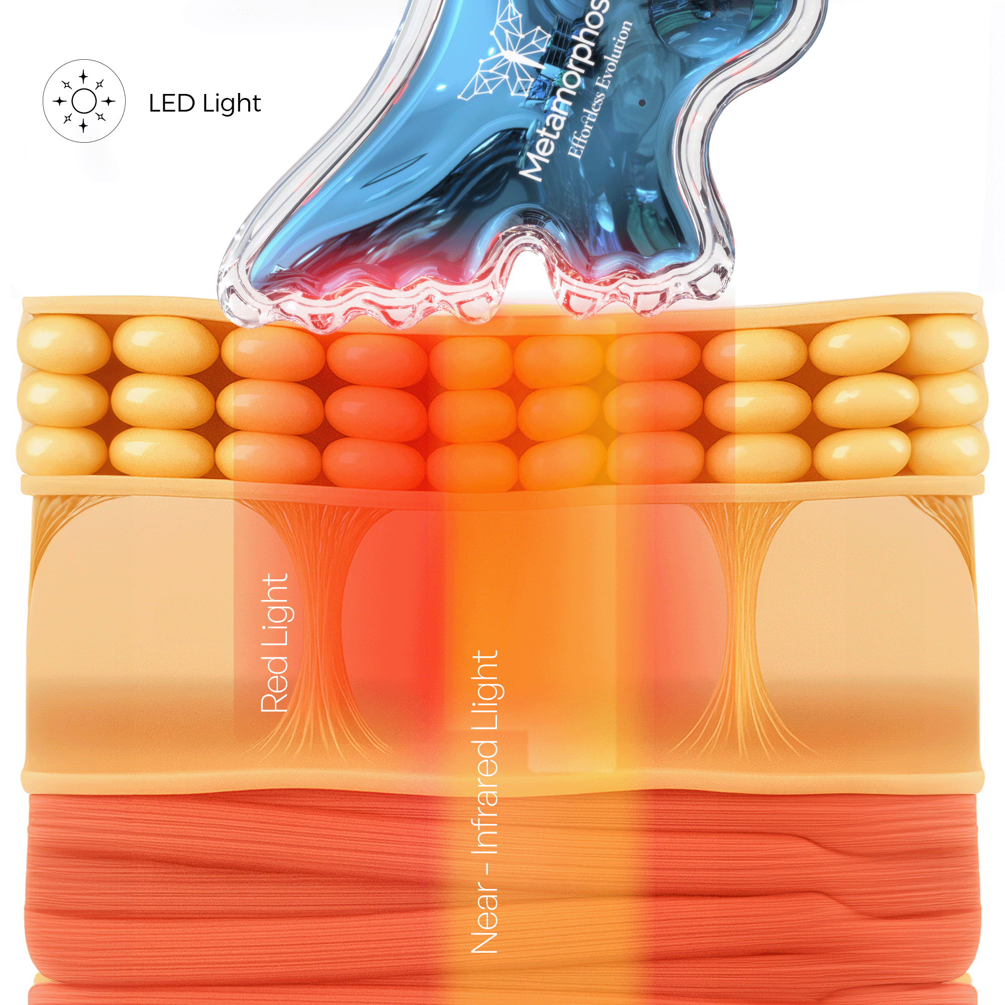 Metamorphosis Product with LED light feature on a white background