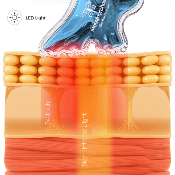 Metamorphosis Product with LED light feature on a white background