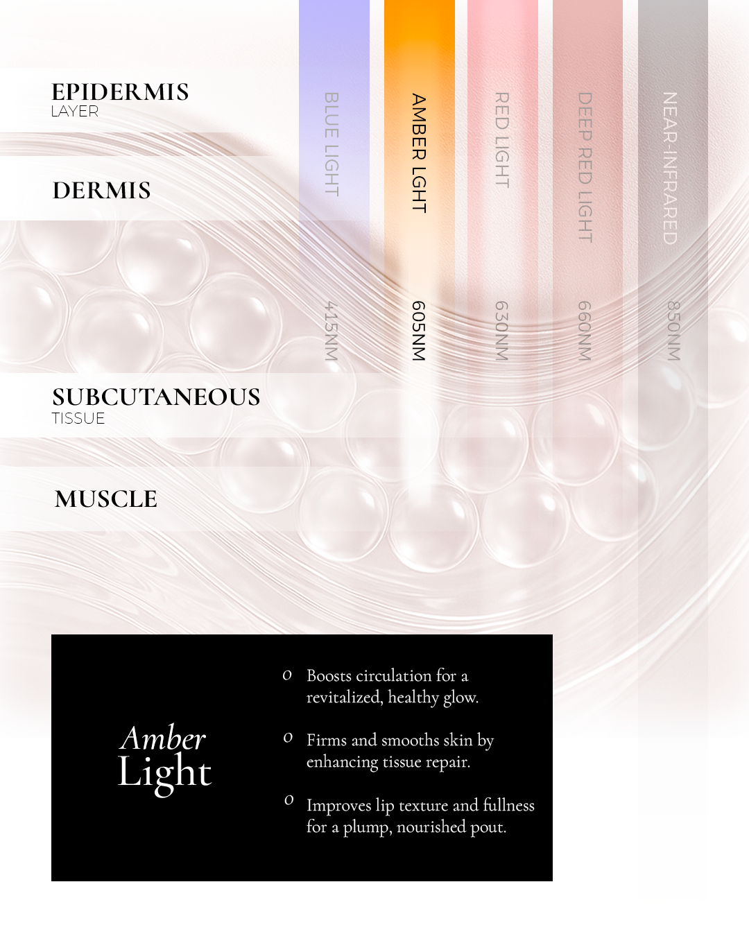 Metamorphosis diagram highlighting the focused penetration of 605nm amber light into the skin's epidermis and dermis layers, detailing its benefits for boosting circulation, enhancing tissue repair, and improving lip texture and fullness