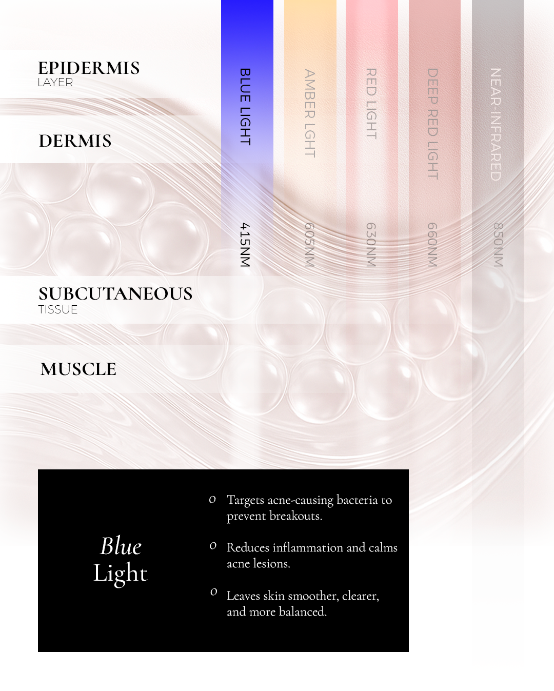 Metamorphosis diagram highlighting the focused penetration of 415nm blue light into the skin's epidermis layer, detailing its benefits for targeting acne-causing bacteria, reducing inflammation, and calming skin lesions