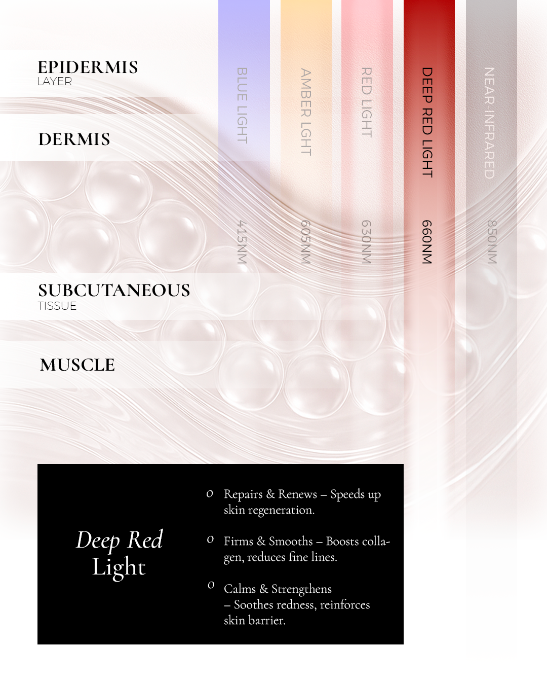 Metamorphosis diagram highlighting the focused penetration of 660nm deep red light into the skin's dermis and subcutaneous tissue layers, detailing its benefits for speeding up skin regeneration, boosting collagen, reducing fine lines, and calming redness.