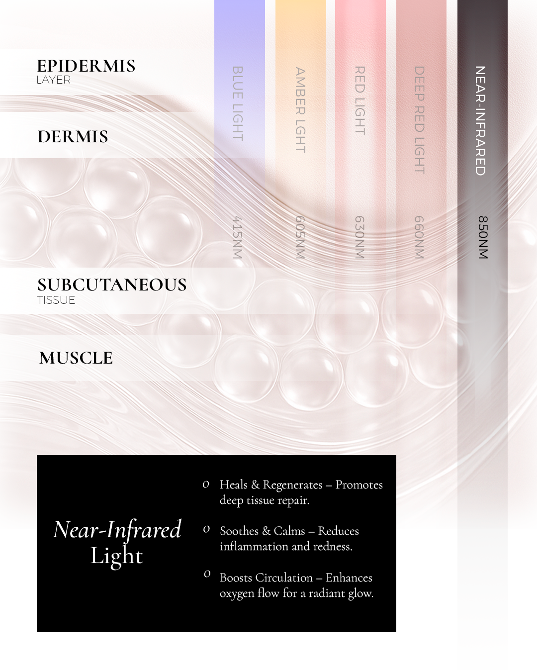 Metamorphosis diagram highlighting the deep penetration of 850nm near-infrared light into the muscle and subcutaneous tissue layers, detailing benefits for healing, regeneration, deep tissue repair, and boosting circulation